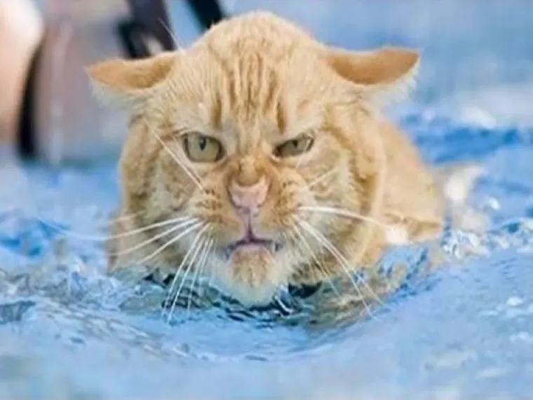 PA KAKO IH SHVATITI OZBILJNO: Znate onog prijatelja koji je smije&scaron;an i kad je bijesan k'o ris?