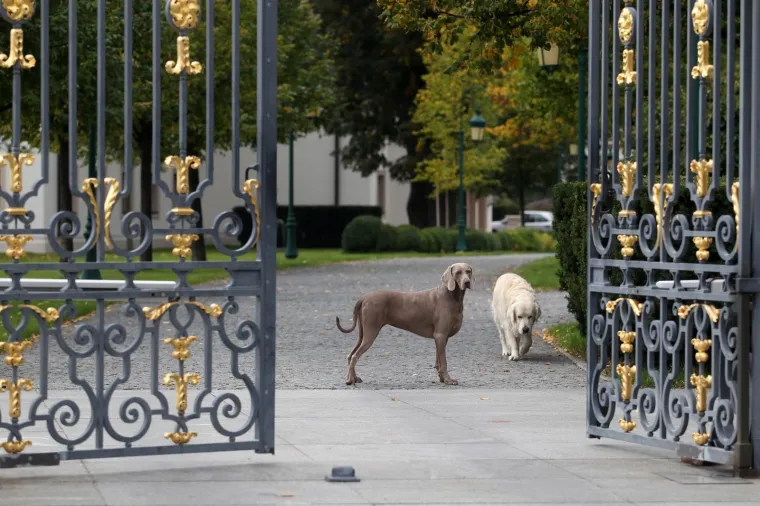 KULMEROVI DVORI ZJAPE PRAZNI: Evo kako danas izgleda obiteljska rezidencija Ivice Todorića