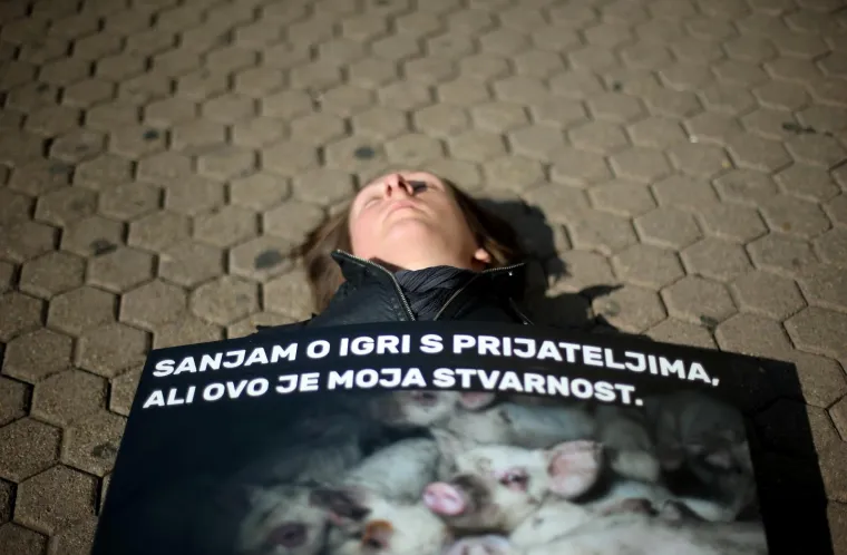 POTRESNI PERFORMANS NA TRGU BANA JELAČIĆA: Na koji način meso, mlijeko i jaja dolaze na naše stolove?