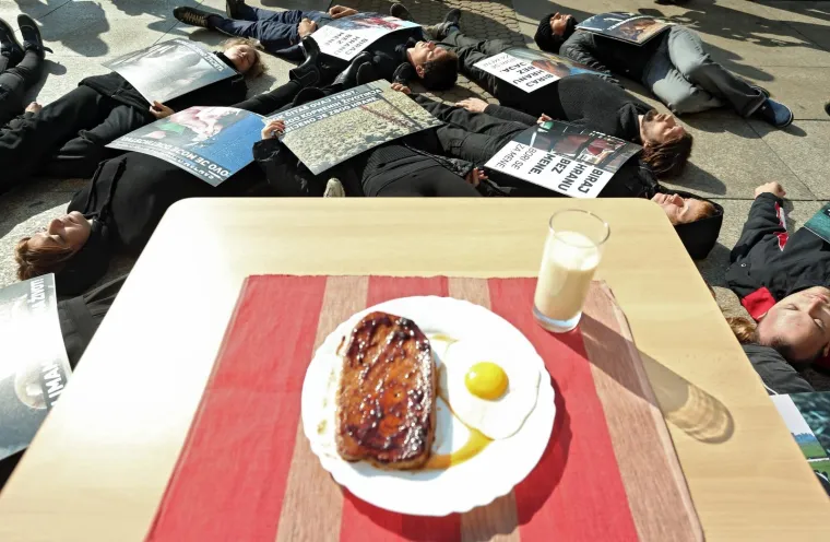 POTRESNI PERFORMANS NA TRGU BANA JELAČIĆA: Na koji način meso, mlijeko i jaja dolaze na na&scaron;e stolove?