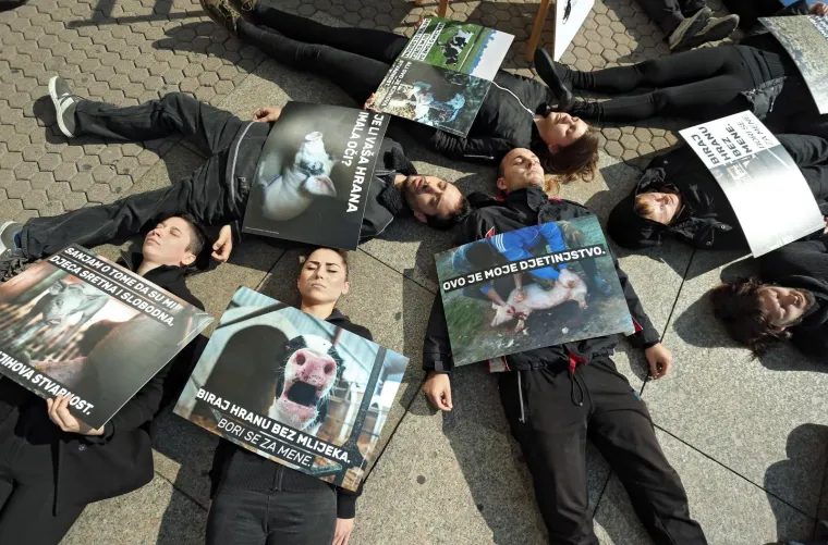 POTRESNI PERFORMANS NA TRGU BANA JELAČIĆA: Na koji način meso, mlijeko i jaja dolaze na na&scaron;e stolove?