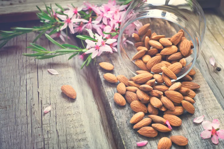 Premda su mliječni proizvodi najbolji izvor kalcija, minerala važnog za zdrave kosti, zube i ispravno funkcioniranje mi&scaron;ića, stanica i živaca, mnogi ih ne konzumiraju jer su vegani ili ih ne smiju konzumirati zbog netolerancije na laktozu. Kalcij je najzastupljeniji mineral u tijelu, od vitalne važnosti za kosti i zube. Organizmu pomaže u održavanju zdravih krvnih žila, regulira krvni tlak te sprečava inzulinsku rezistenciju koja može dovesti do dijabetesa tipa 2. Odraslim osobama potrebno je dnevno oko 700 miligrama kalcija, a puno ga ima i u ovim namirnicama.