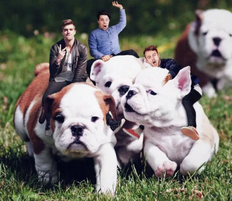 POZNAJE SVE SLAVNE NA SVIJETU, A ZA TO IMA I DOKAZE: Urnebesni Belgijanac u&scaron;ulja se svakoj zvijezdi u kadar