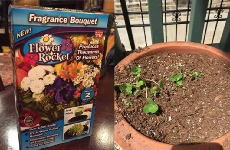 LAŽU NAS SA SVIH STRANA: Pogledajte &scaron;to se sve krije iza laži na dru&scaron;tvenim mrežama i u ogla&scaron;avanju