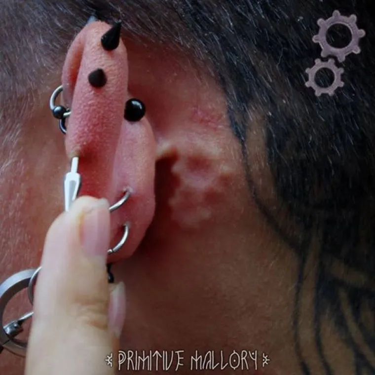 MODIFICIRALI SE DO NEPREPOZNATLJIVOSTI: Izgledaju kao da su do&scaron;li s drugog planeta ili iz hororca