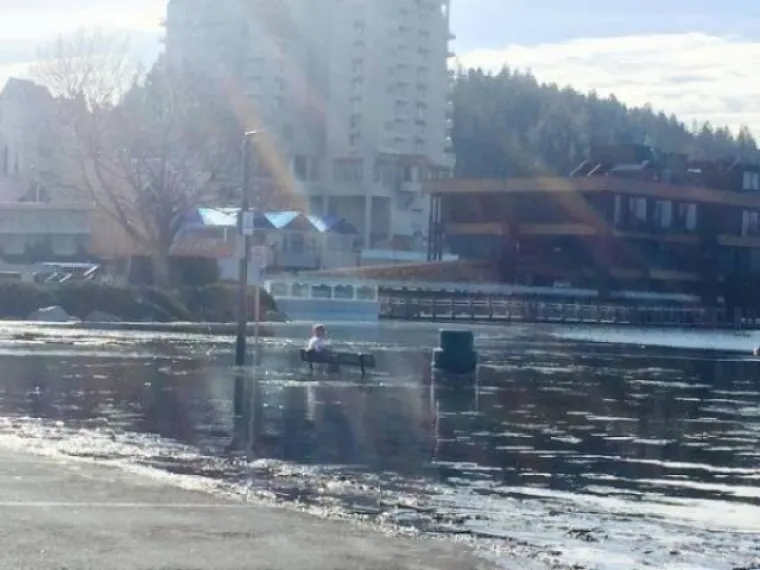 VJEČNI SAMCI OTKRILI KAKO PROLAZE KROZ ŽIVOT: Nije im lako, a ovo su njihovi lijekovi protiv samoće