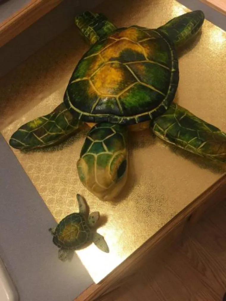 VJEROVALI ILI NE, OVO SU TORTE: Vje&scaron;ti slastičari uspjeli zavarati mnoge sladokusce, pogledajte njihove kreacije