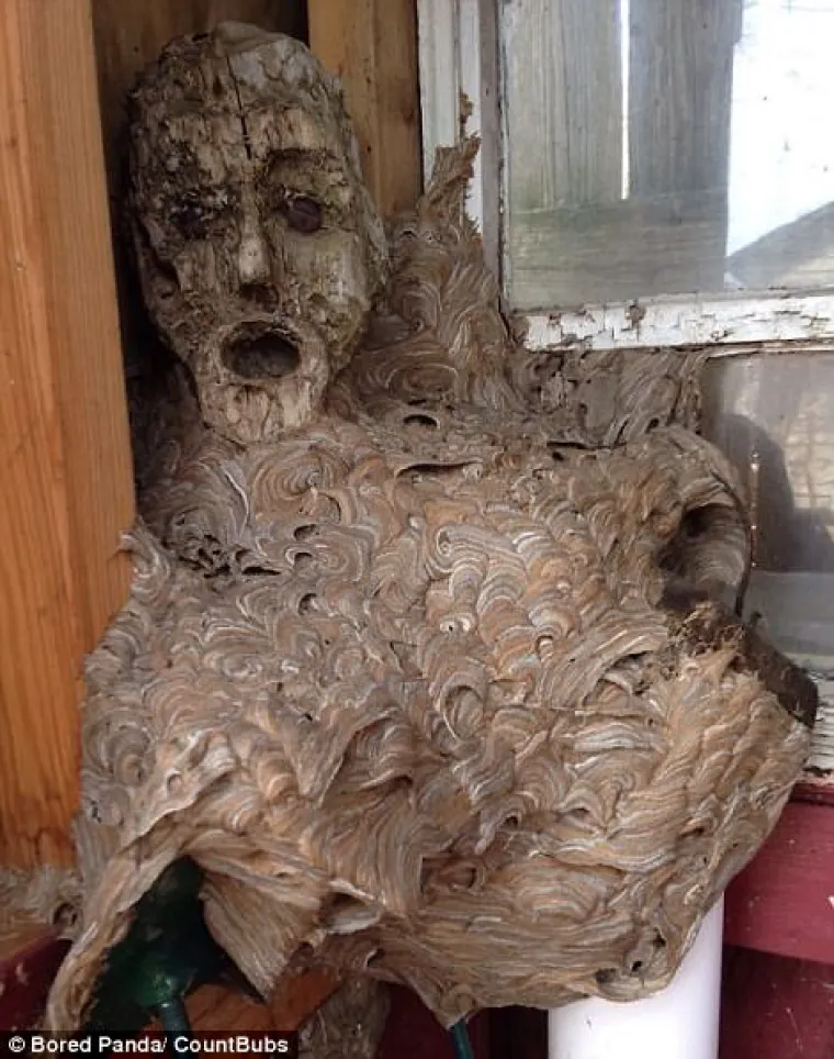 Gnijezdo str&scaron;ljenova oko skulpture