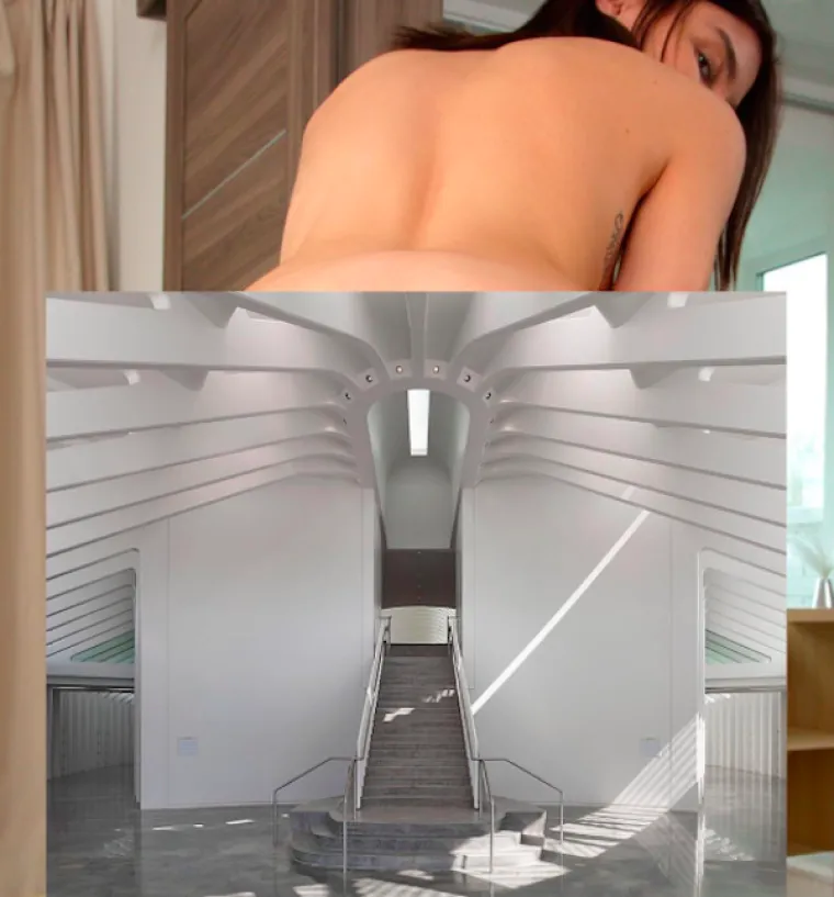 TANKA JE LINIJA IZMEĐU PORNOGRAFIJE I UMJETNOSTI: Nevjerojatna kombinacija pornića i arhitekture