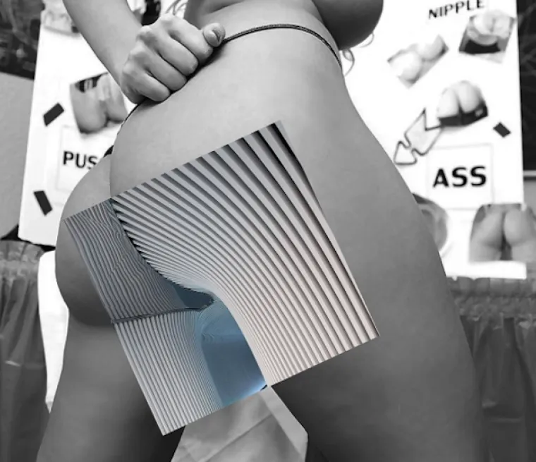 TANKA JE LINIJA IZMEĐU PORNOGRAFIJE I UMJETNOSTI: Nevjerojatna kombinacija pornića i arhitekture