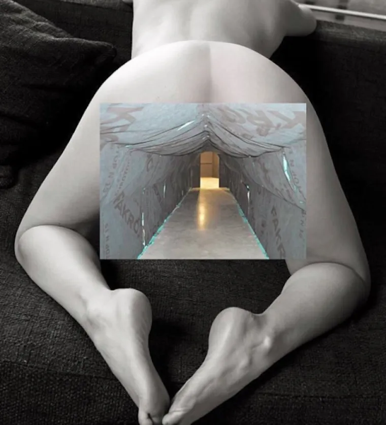 TANKA JE LINIJA IZMEĐU PORNOGRAFIJE I UMJETNOSTI: Nevjerojatna kombinacija pornića i arhitekture