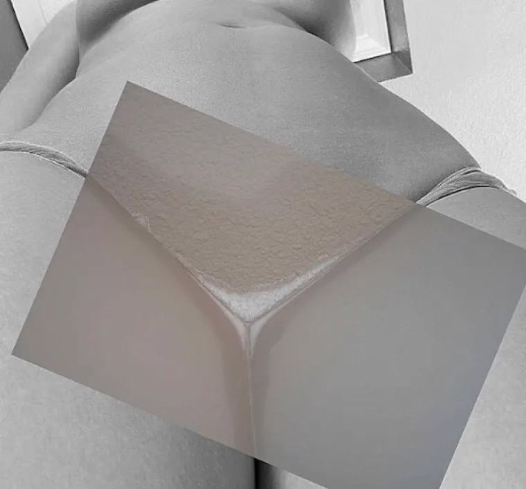 TANKA JE LINIJA IZMEĐU PORNOGRAFIJE I UMJETNOSTI: Nevjerojatna kombinacija pornića i arhitekture