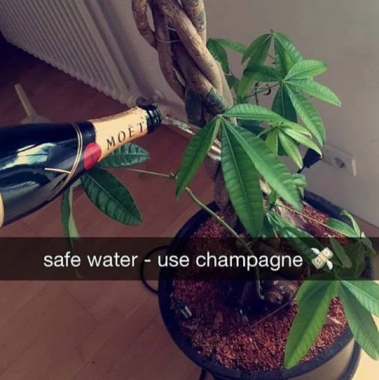 Razmeću se bogatstvom svojih roditelja i ne misle prestati