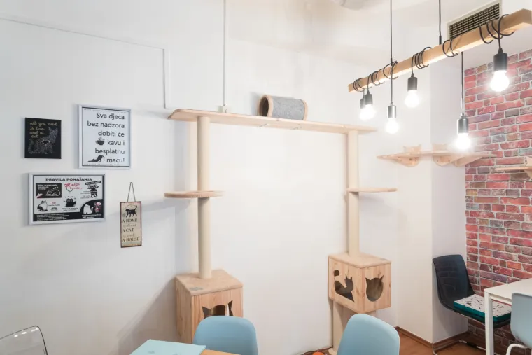 U Zagrebu otvoren prvi hrvatski Cat caffe: posjetitelji će moći popiti kavu u dru&scaron;tvu mačaka