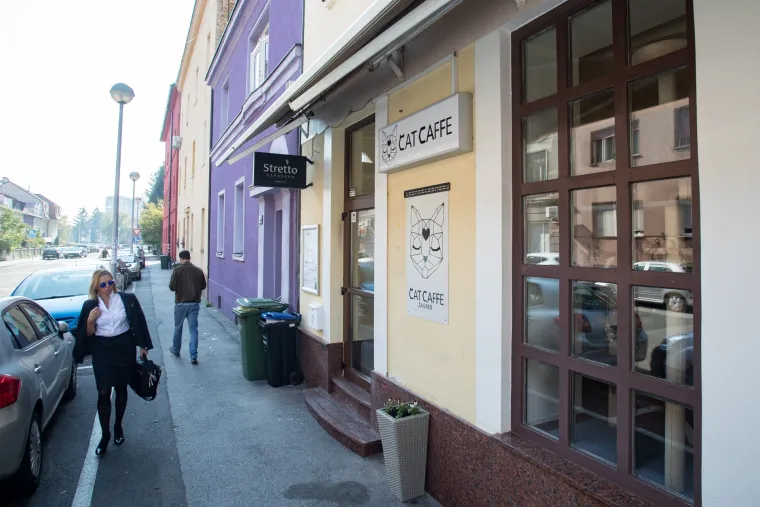 U Zagrebu otvoren prvi hrvatski Cat caffe: posjetitelji će moći popiti kavu u dru&scaron;tvu mačaka