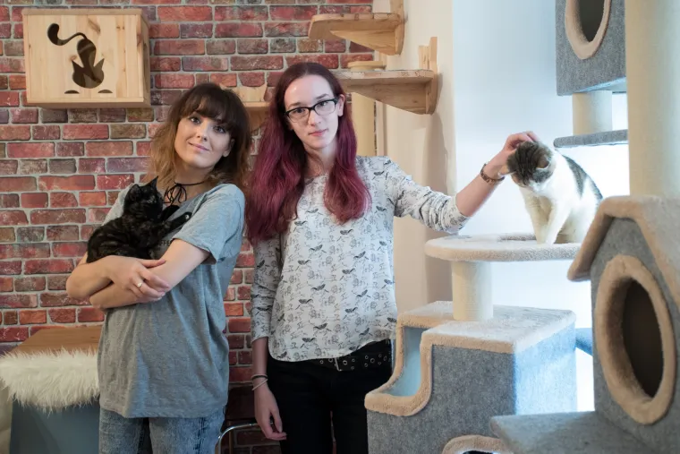 U Zagrebu otvoren prvi hrvatski Cat caffe: posjetitelji će moći popiti kavu u dru&scaron;tvu mačaka