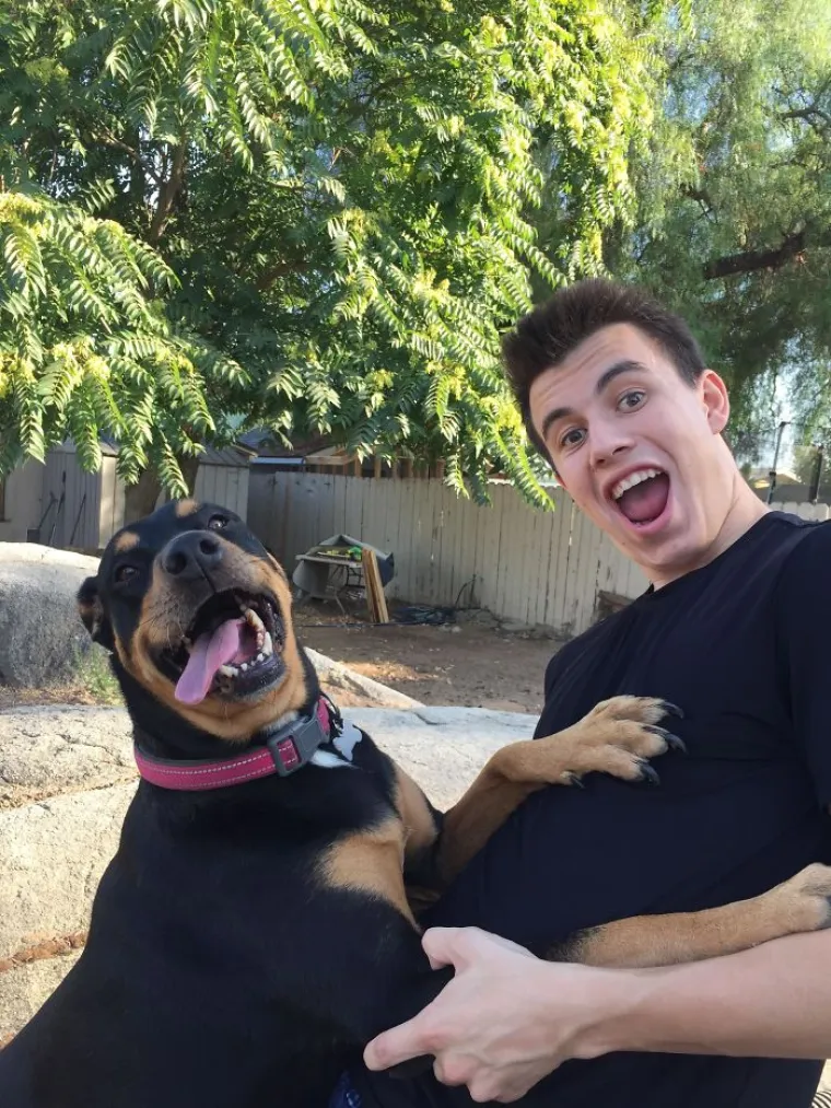 Pogledajte kako je prošlo upoznavanje ovih vlasnika i pasa, bilo je tu svega