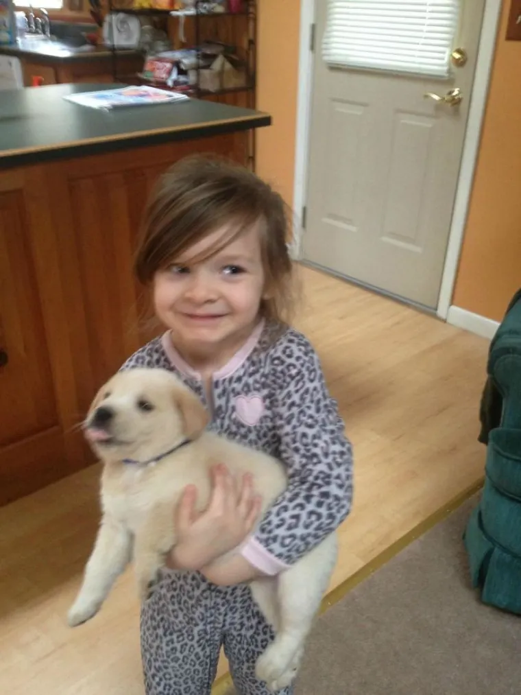 Pogledajte kako je prošlo upoznavanje ovih vlasnika i pasa, bilo je tu svega