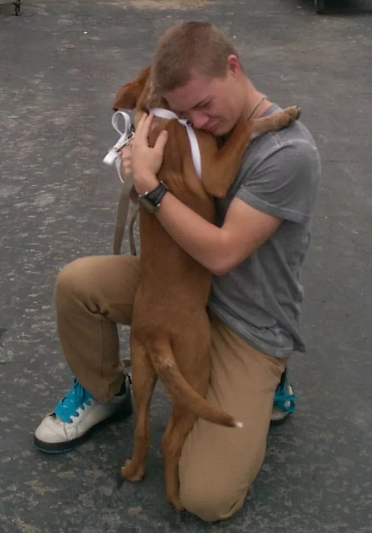 Pogledajte kako je prošlo upoznavanje ovih vlasnika i pasa, bilo je tu svega