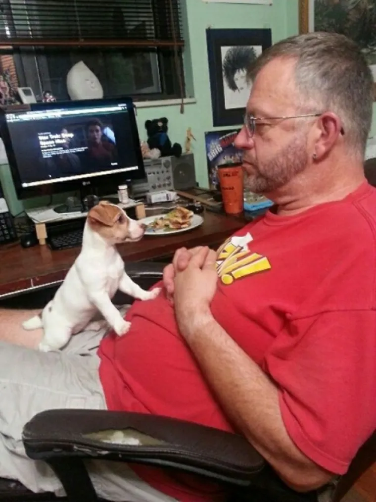 Pogledajte kako je pro&scaron;lo upoznavanje ovih vlasnika i pasa, bilo je tu svega