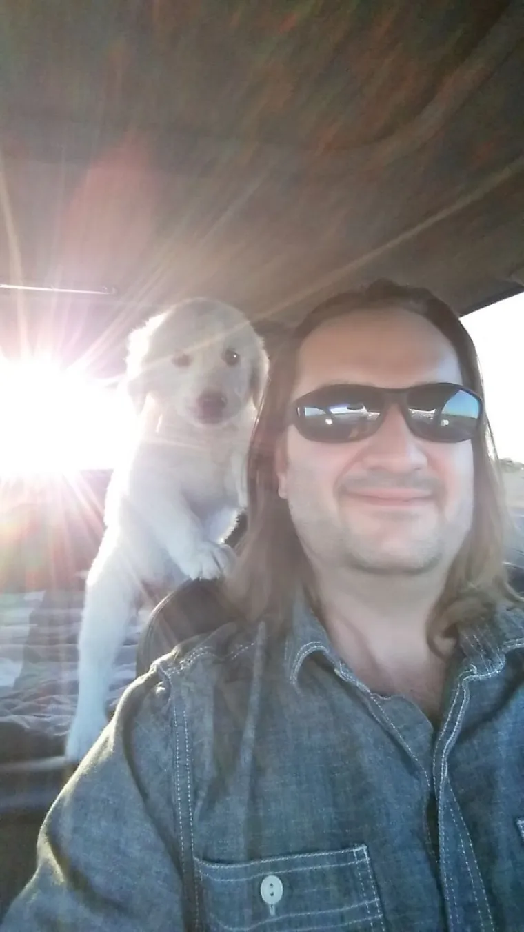 Pogledajte kako je pro&scaron;lo upoznavanje ovih vlasnika i pasa, bilo je tu svega