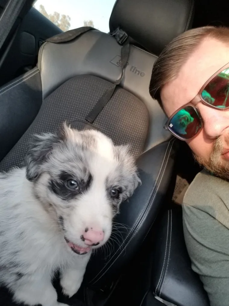 Pogledajte kako je pro&scaron;lo upoznavanje ovih vlasnika i pasa, bilo je tu svega