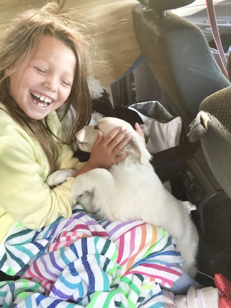 Pogledajte kako je pro&scaron;lo upoznavanje ovih vlasnika i pasa, bilo je tu svega