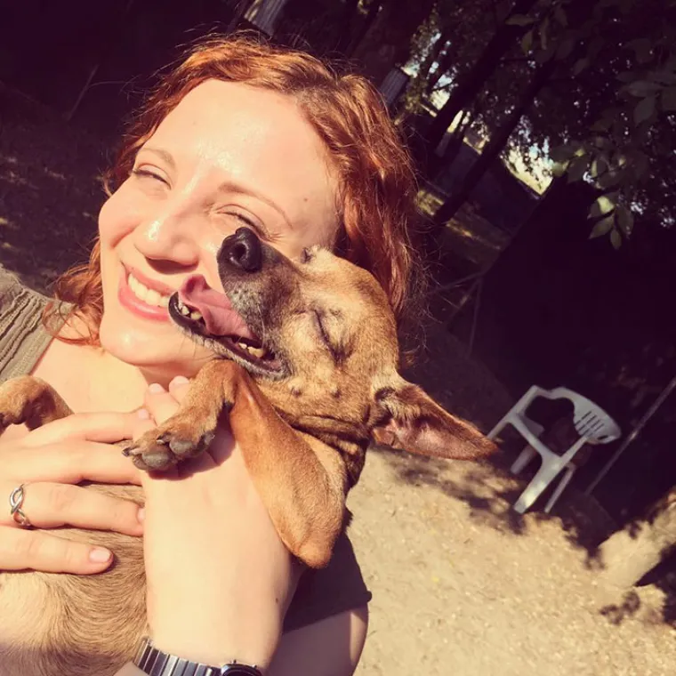 Pogledajte kako je pro&scaron;lo upoznavanje ovih vlasnika i pasa, bilo je tu svega