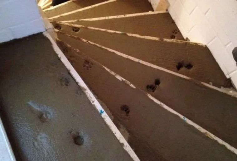 NESREĆA IH PRATI U STOPU: Nevjerojatno u kojim sve situacijama uspijevaju privući nesreću