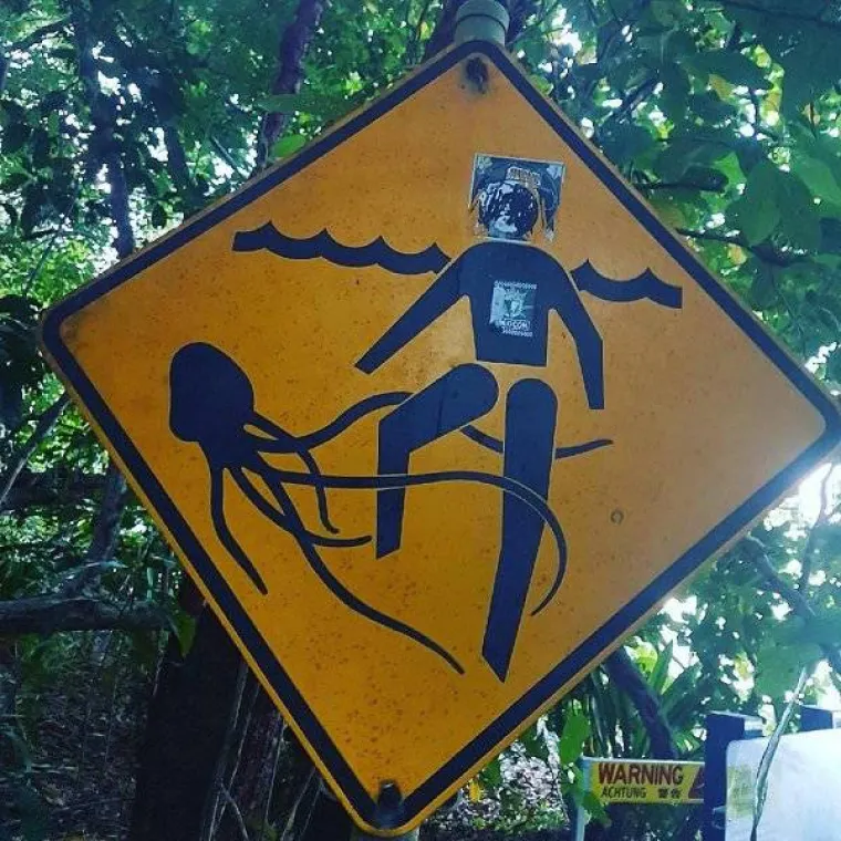 AUSTRALIJA JE ZEMLJA U KOJOJ NOĆNA MORA POSTAJE STVARNOST: Svaki dan se moraju nositi s ovim čudovi&scaron;tima