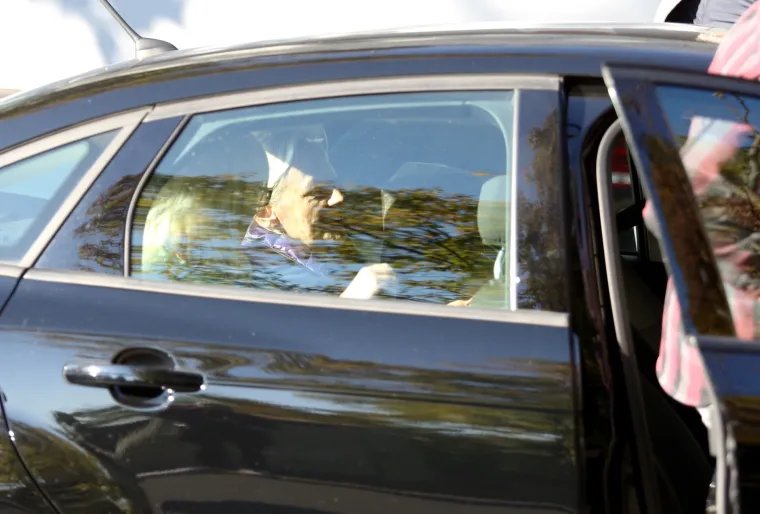 Uhićenje Ljerke Puljić