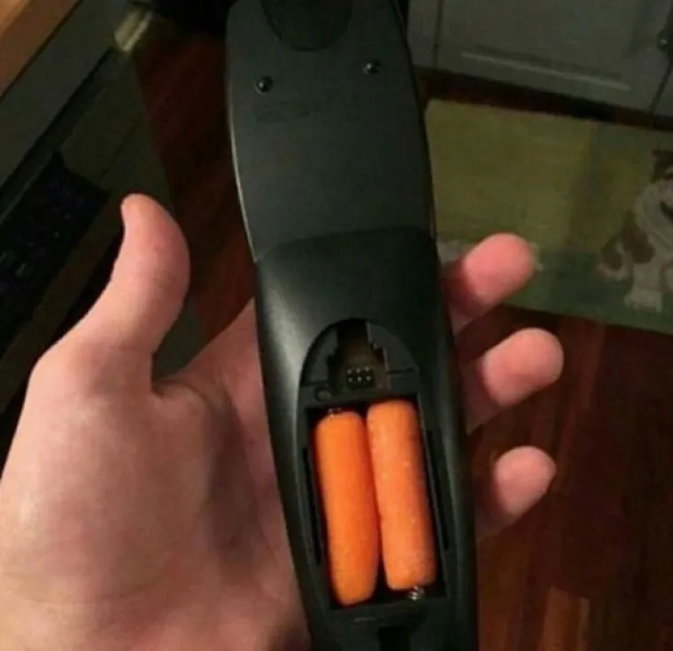 OVE SLIKE ĆE VAS BAREM MALO UZNEMIRITI: Postavlja se samo jedno pitanje - za&scaron;to bi to itko napravio