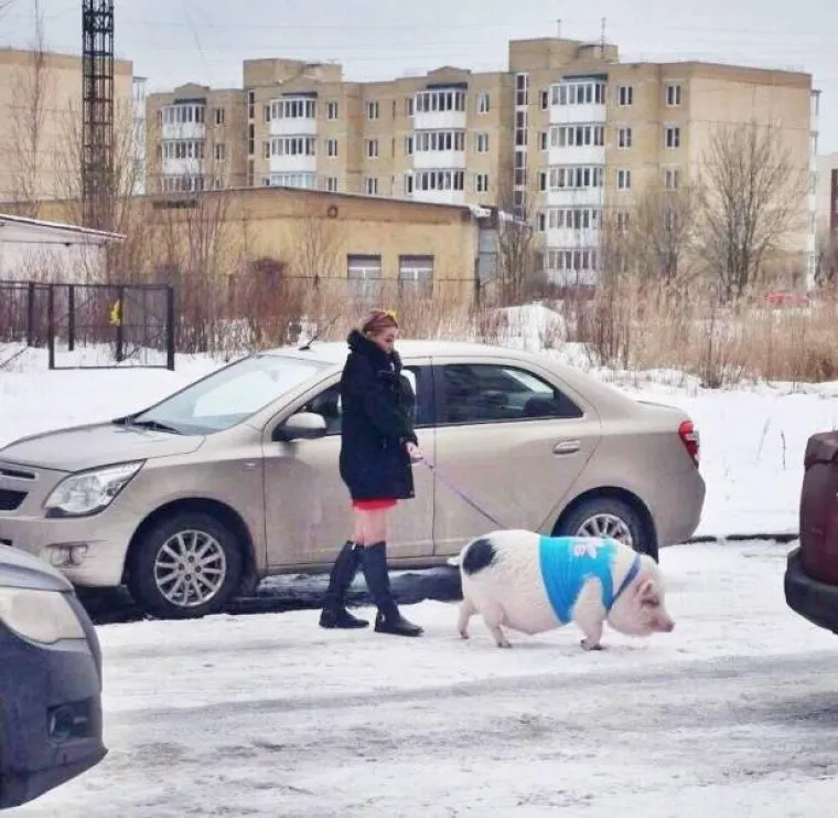 POKUŠAJTE OBJASNITI OVE PRIZORE: Svijet je pun čudesa, a ove spodobe se ubrajaju među njih