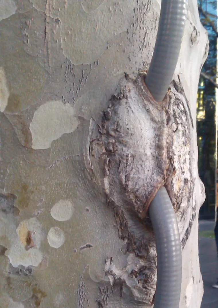 KOLIKO SU VAM PRLJAVE MISLI? Dobro pogledajte fotografije i recite nam vidite li ne&scaron;to čudno