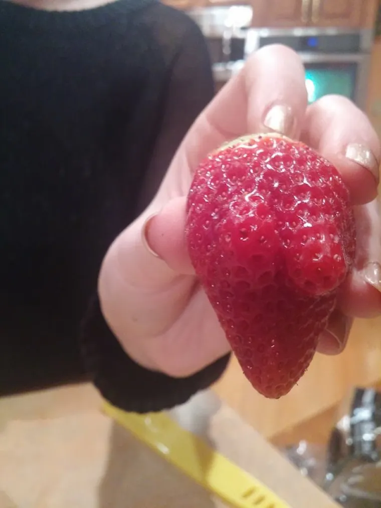 KOLIKO SU VAM PRLJAVE MISLI? Dobro pogledajte fotografije i recite nam vidite li ne&scaron;to čudno