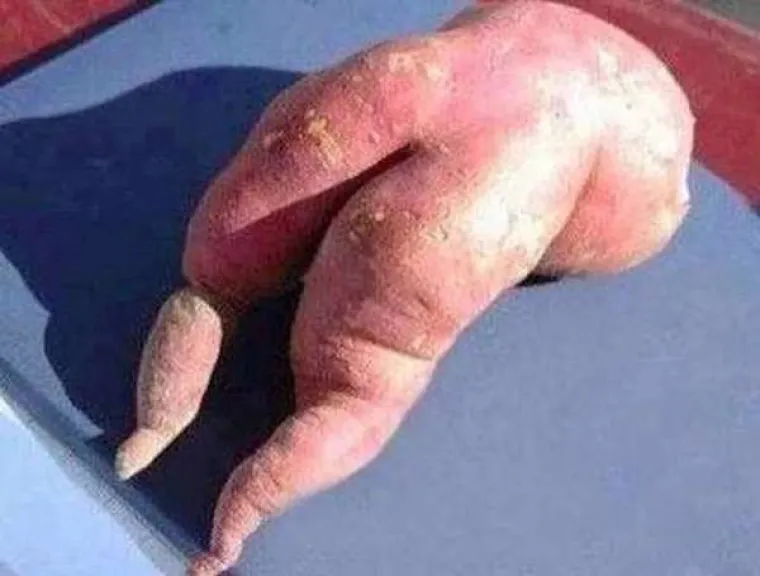 KOLIKO SU VAM PRLJAVE MISLI? Dobro pogledajte fotografije i recite nam vidite li ne&scaron;to čudno