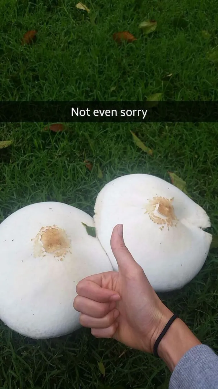 KOLIKO SU VAM PRLJAVE MISLI? Dobro pogledajte fotografije i recite nam vidite li ne&scaron;to čudno