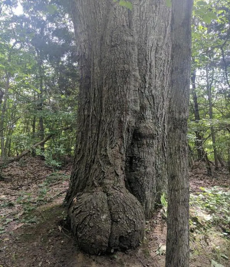 KOLIKO SU VAM PRLJAVE MISLI? Dobro pogledajte fotografije i recite nam vidite li ne&scaron;to čudno
