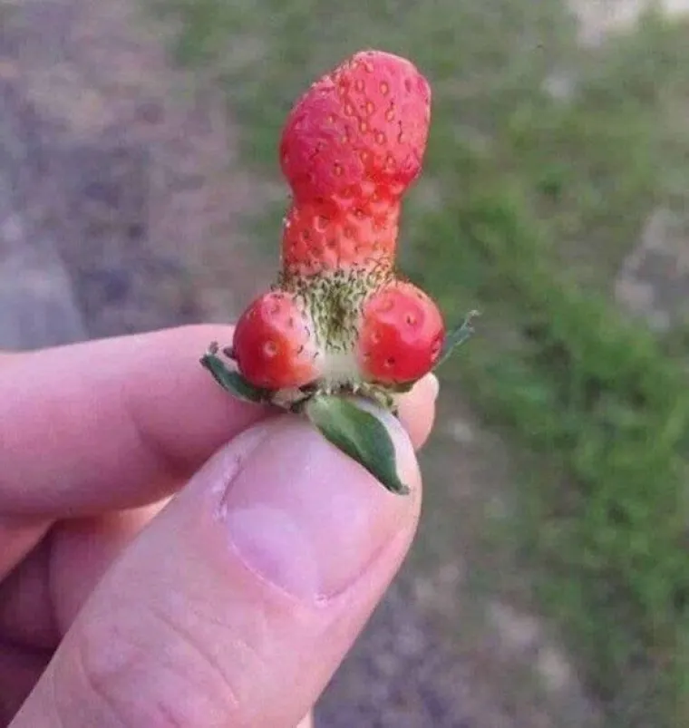 KOLIKO SU VAM PRLJAVE MISLI? Dobro pogledajte fotografije i recite nam vidite li ne&scaron;to čudno