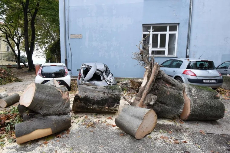 OLUJNA BURA LOMILA SVE PRED SOBOM: Razorni vjetar sru&scaron;io stablo na zadarskom parkirali&scaron;tu, uni&scaron;tena vozila