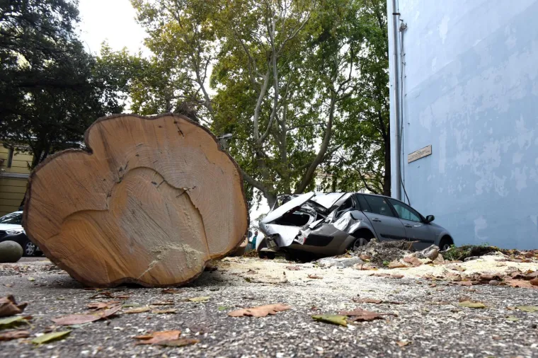 OLUJNA BURA LOMILA SVE PRED SOBOM: Razorni vjetar sru&scaron;io stablo na zadarskom parkirali&scaron;tu, uni&scaron;tena vozila