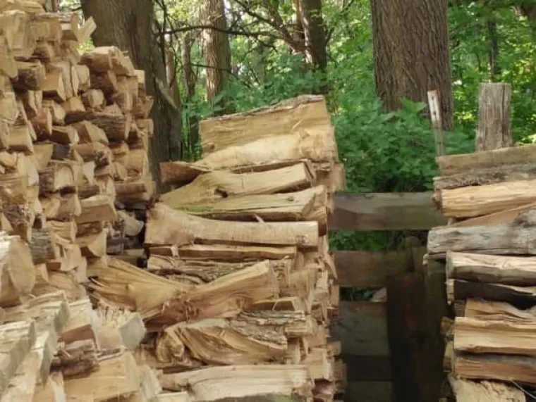 TEST SAMO ZA NAJUPORNIJE: Poku&scaron;ajte pronaći životinje koje su se stopile s okolinom, neće vam biti lako