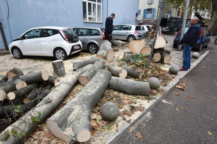 BURA RU&Scaron;ILA STABLA U ZADRU: Olujni vjetar napravio veliku materijalnu &scaron;tetu