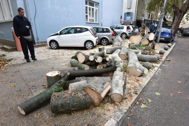 BURA RU&Scaron;ILA STABLA U ZADRU: Olujni vjetar napravio veliku materijalnu &scaron;tetu