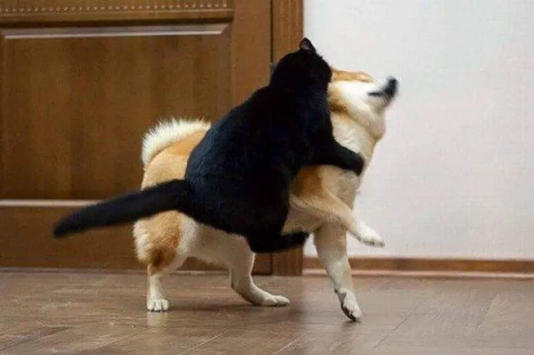 ŽIVOT UVIJEK IMA NEKO NEUGODNO IZNENAĐENJE U RUKAVU: Te&scaron;ko je ostati ravnodu&scaron;an kad vam servira ovakve situacije