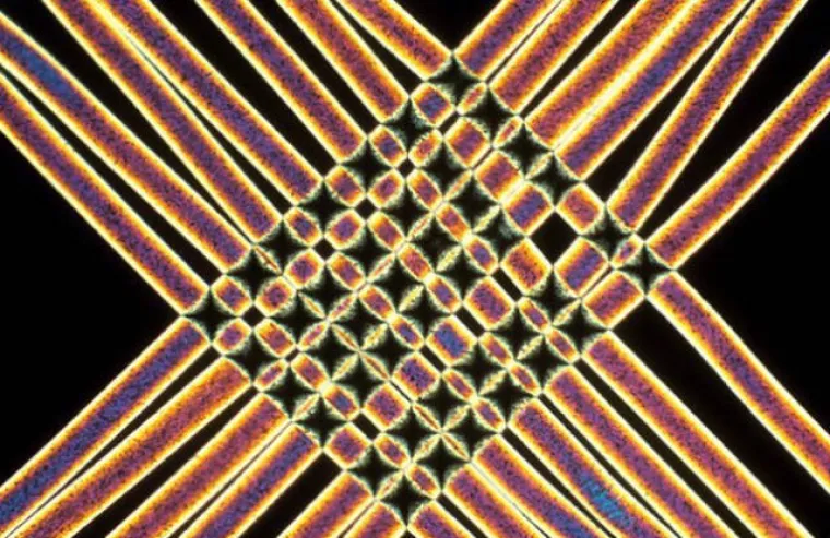 MOŽETE LI PREPOZNATI OVE STVARI POD MIKROSKOPOM? Izazov koji će moći rije&scaron;iti samo rijetki