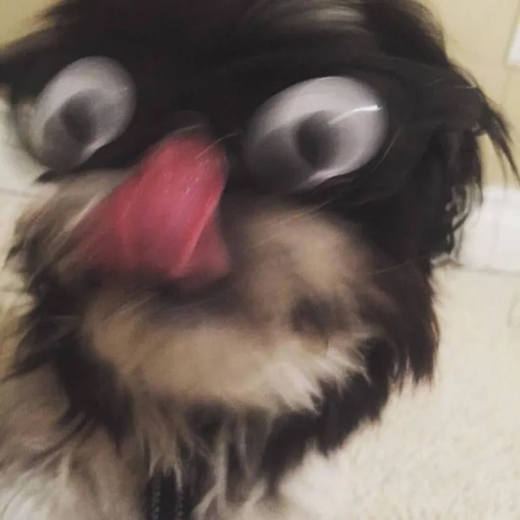 TOLIKO SE &Scaron;OKIRALI DA SU IM SLIKE ISPALE MUTNE: Urnebesna kolekcija pomalo jezivih fotki