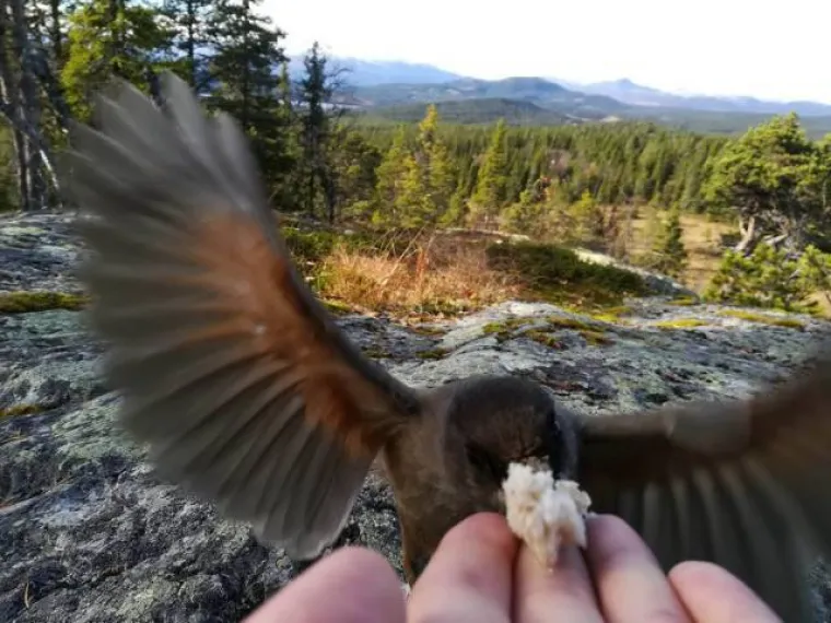 TOLIKO SE &Scaron;OKIRALI DA SU IM SLIKE ISPALE MUTNE: Urnebesna kolekcija pomalo jezivih fotki