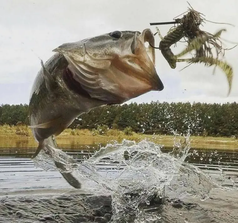 TOLIKO SE &Scaron;OKIRALI DA SU IM SLIKE ISPALE MUTNE: Urnebesna kolekcija pomalo jezivih fotki