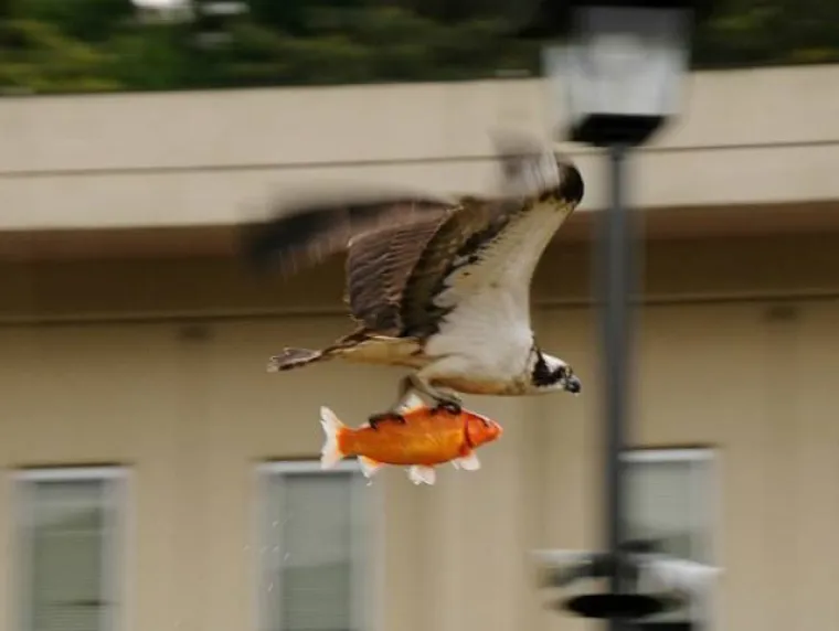 TOLIKO SE &Scaron;OKIRALI DA SU IM SLIKE ISPALE MUTNE: Urnebesna kolekcija pomalo jezivih fotki